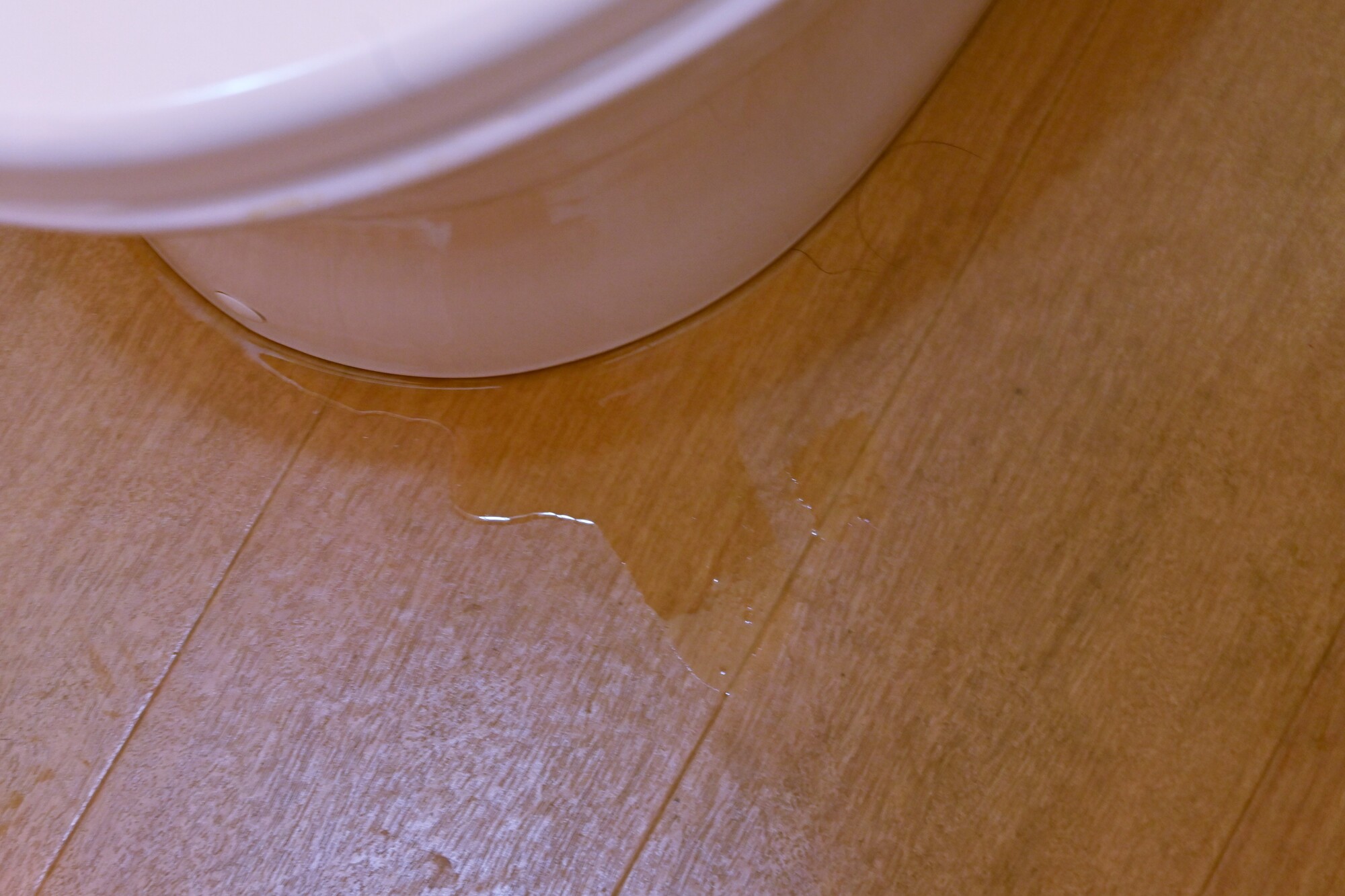 ウォシュレットの水漏れを放置するとどんなリスクがある？